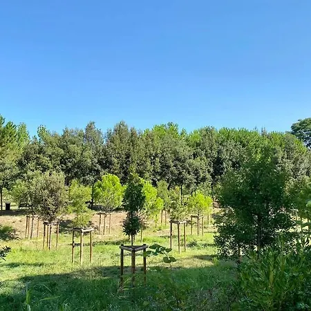 Nouveau ! Doramar : Standing Entre Et Appartement